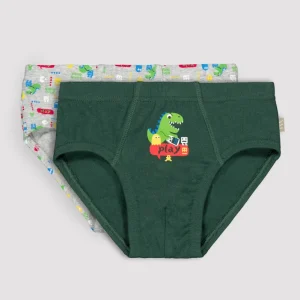 Pacote com 2 cuecas infantis com estampa de dinossauro.