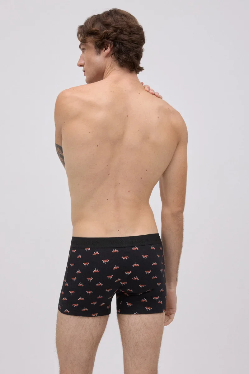 Pacote com 2 boxers com estampa animal - Image 6