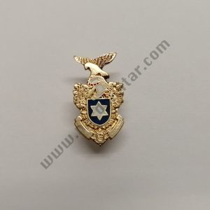 Pin de Lapela  Forças de Segurança 2